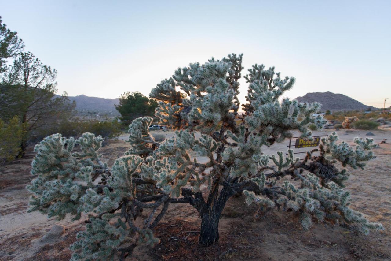 @ Marbella Lane - 10 Acres Oasis Desert Retreat! Joshua Tree Zewnętrze zdjęcie