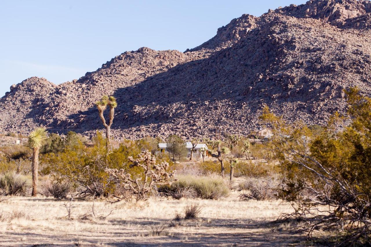 @ Marbella Lane - 10 Acres Oasis Desert Retreat! Joshua Tree Zewnętrze zdjęcie